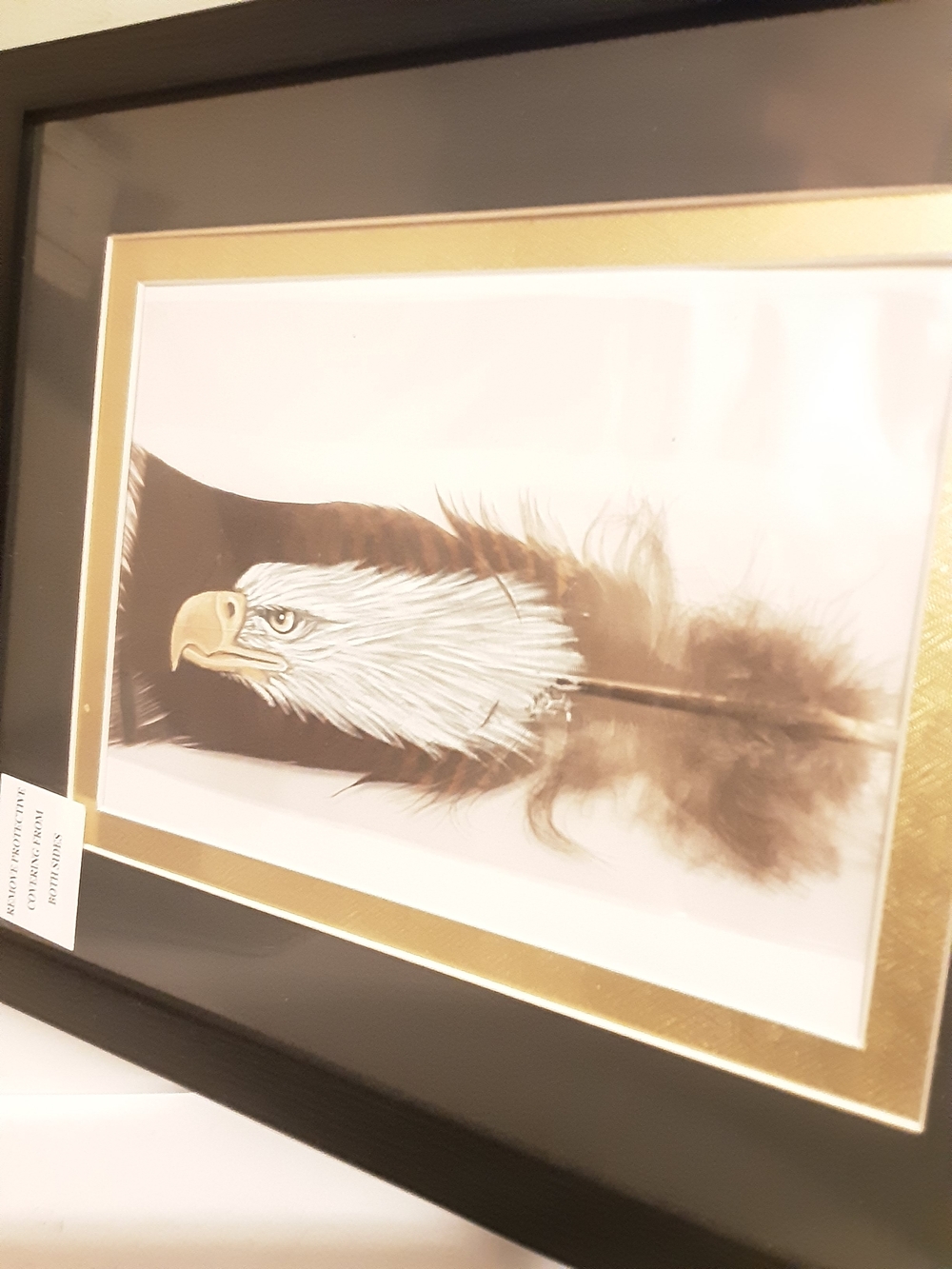 Eagle Painted In Turkey Feather (42)